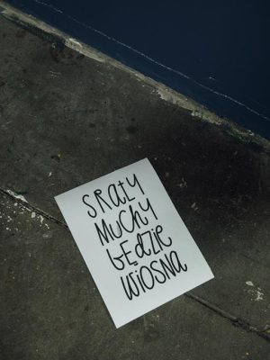 SRAŁY MUCHY BĘDZIE WIOSNA – wersja 1