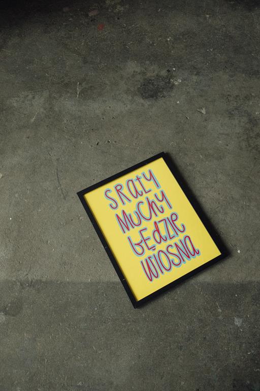 SRAŁY MUCHY BĘDZIE WIOSNA - wersja 2